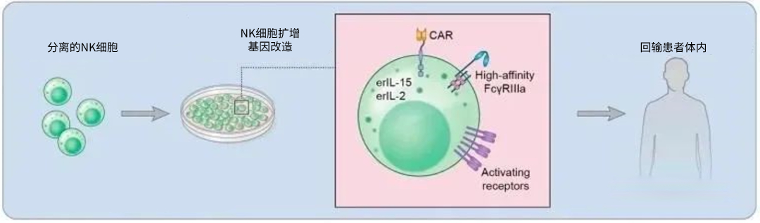 CAR-NK原理.jpg