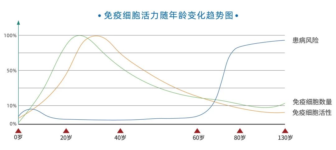 微信图片_20250109203226.jpg