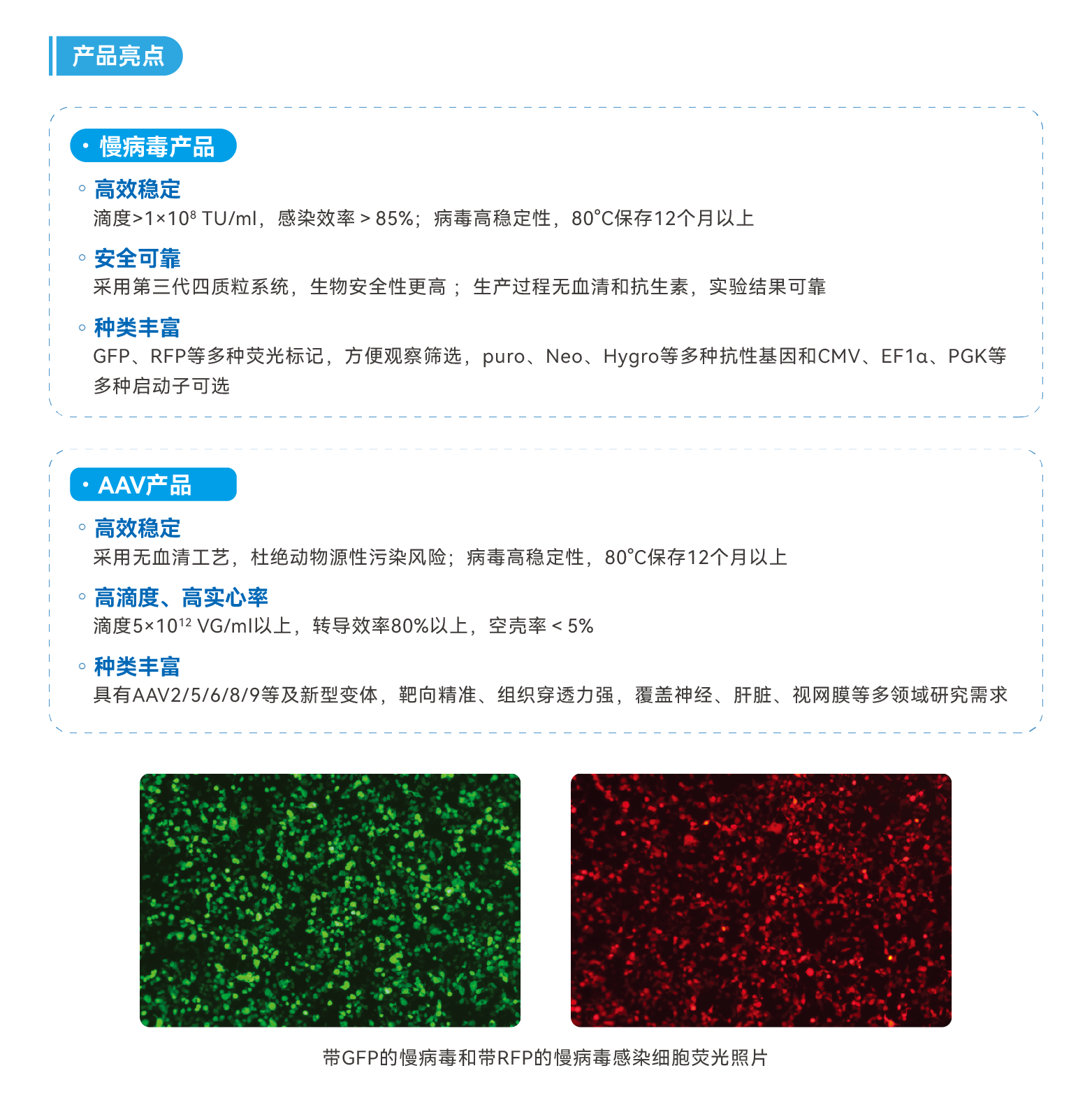 网站_病毒载体.png